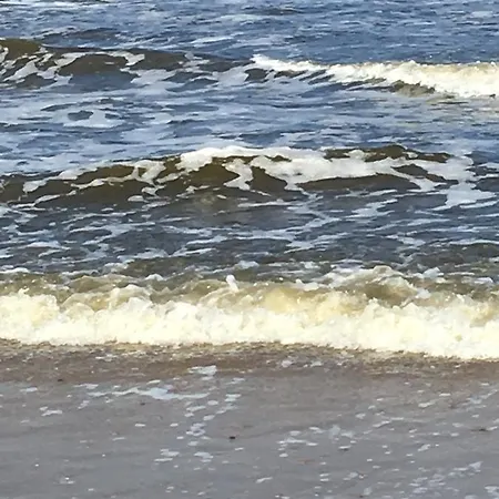 Haas Aan Zee Bergen aan Zee