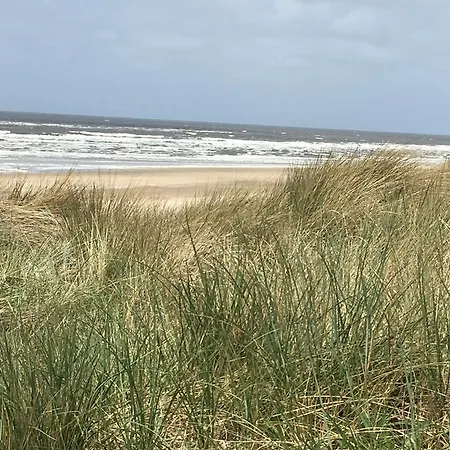 Haas Aan Zee Bergen aan Zee