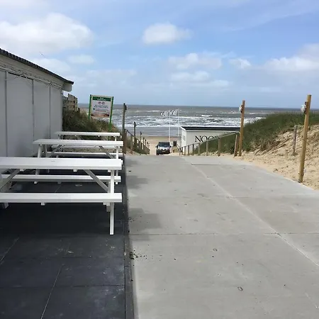Haas Aan Zee Bergen aan Zee